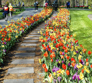 Blumenpracht im Keukenhof
