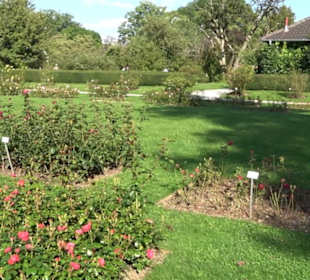 Rosengarten Botanischer Garten