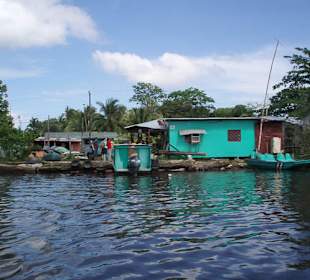 Rzeka nieopodal Tortuguero