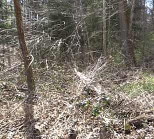 Wanderung Drei Seen/Drei Täler