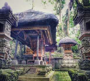 Affenwald Ubud