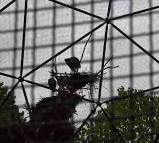 Tierpark 