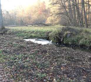 Schönbuch Schaichtal