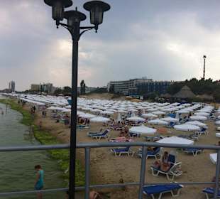 Viele Algen am Strand