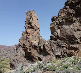 Nationalpark --> Teide