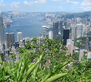 Hong Kong Skyline vom Victoria Peak