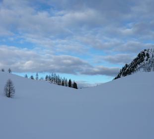Winterwandern im Ultental
