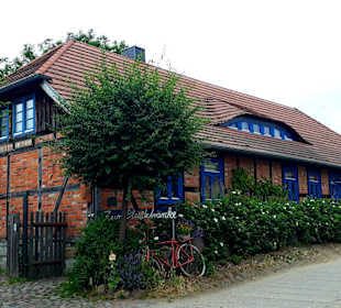 Ausblick Allee von Krummin