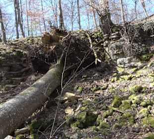 Geologischer Lehrpfad Kirnbachtal