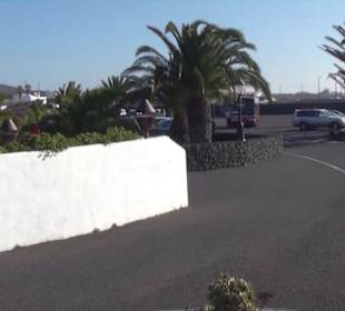 Fundacion Cesar Manrique