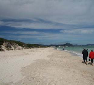 Strand in der Bucht von Alcudia bei Picafort