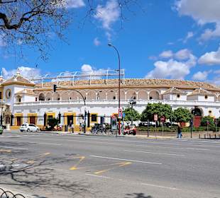 Plaza de Toros de La Maestranza (Stierkampfarena) 