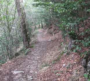 Felsenhäusle