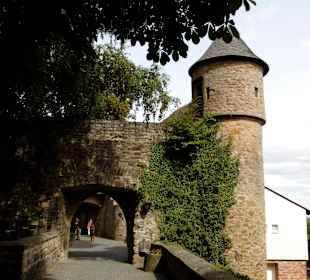 Burgruine Lichtenberg Thallichtenberg