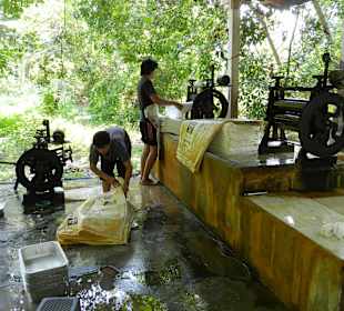 Kautschukverarbeitung