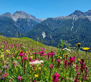 Bergfrühling auf Motta Naluns
