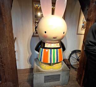 Zaans Museum in Zaandam