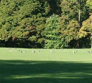 Ein Tag im Englischen Garten
