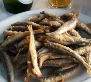 Gavros