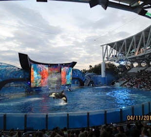 Sea World