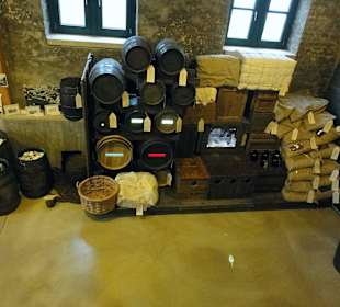 Exponate des Spicariums