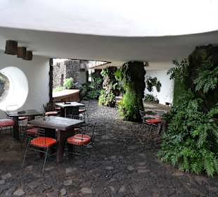  Jameos del Agua Cesar Manrique