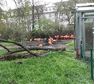 Zoologischer Stadtgarten