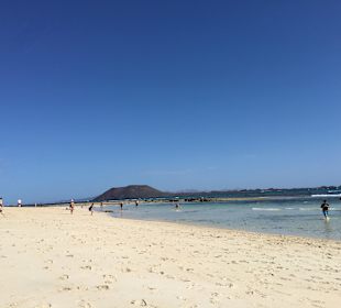 Strand in den Dünen