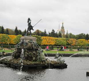 Park Dolny Peterhof
