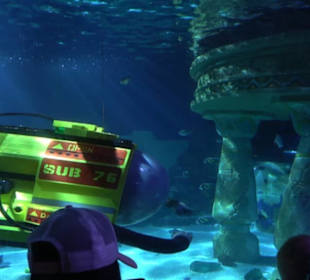  Lego X-Treme - Legoland Atlantis by SEA LIFE