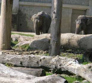 Zoo Ostrava