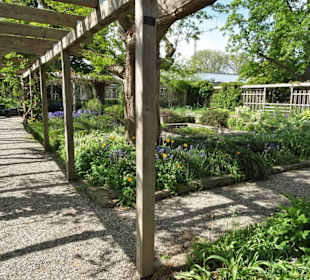 Spaziergang durch den Berggarten Hannover