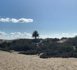Strand Maspalomas