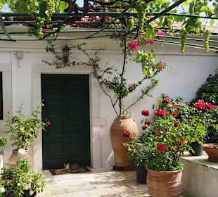Zauberhaftes Korfu. Im Kloster von Paleokastriza