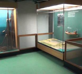 Meeresmuseum Stralsund