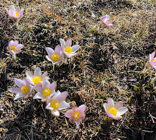 Wandern St. Jakob im Defereggental