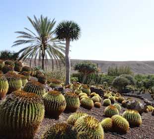 Kakteen- Park