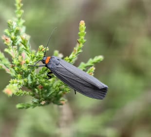 Wandern Bad Bevensen