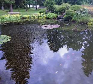 Der große Teich