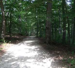 Premiumwanderweg "hochgelegen"