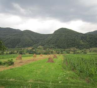 Valea Oltului / Olt-Tal 