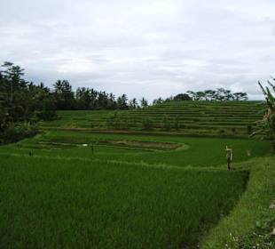 Impressionen aus Bali