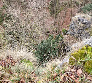 Pfarrfelsen da geht es runder 