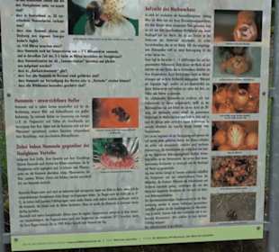 Naturinfopfad Weggental