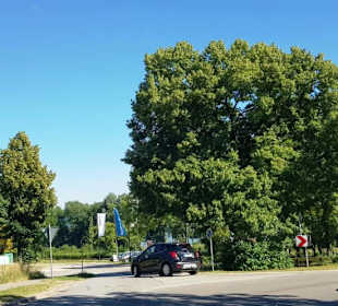 Hier geht es zu den Ufern