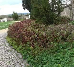 Basteigarten Ellwangen