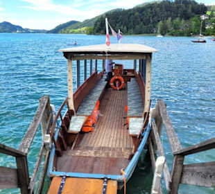 Zille die Fuschlerin