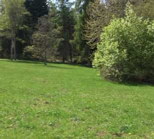 Arboretum