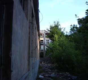 Zakład dla Nerwowo i Psychicznie Chorych Żydów Zofiówka