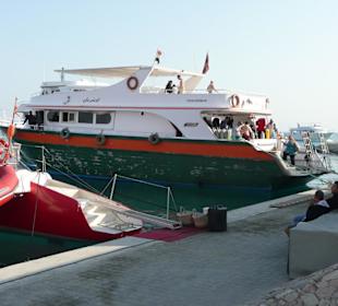 Orca Tauchboot "Turtle"